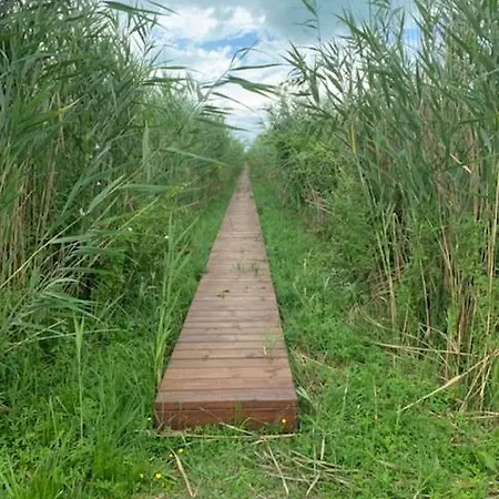 Holiday home Voeroesparti Ueduelohaz